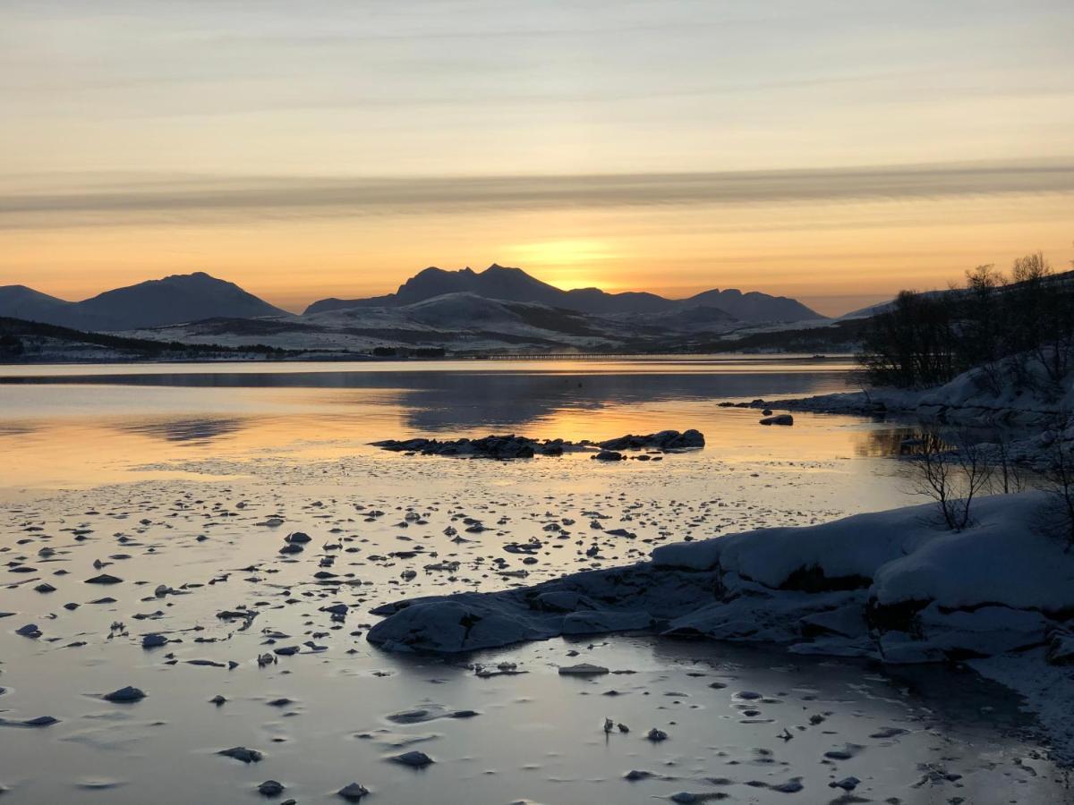 Melishome: Aurora Observatory Tromsø Kültér fotó