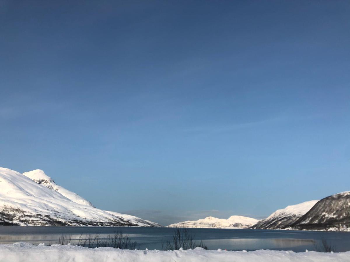 Melishome: Aurora Observatory Tromsø Kültér fotó