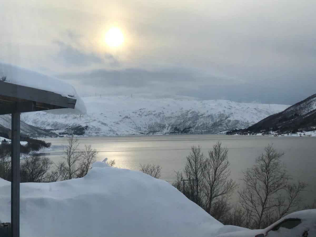 Melishome: Aurora Observatory Tromsø Kültér fotó